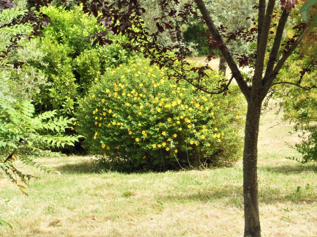 La Fontaiola Villa Le Piazze Eksteriør bilde